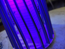 滅蚊燈驅蚊滅蚊神器滅蚊器驅蚊器蒼蠅神器電蚊拍滅蠅器滅蚊器 豪華插電款+電擊式 曬單實(shí)拍圖