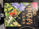2冊新編中草藥彩色圖鑒+野外認采草藥 讓你足不出戶(hù)認清中草藥藥材植物彩圖大全中醫養生書(shū)籍基礎入門(mén)書(shū) 曬單實(shí)拍圖