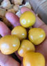 南步東北姑娘果【順豐速發(fā)】菇?jīng)龉S菇娘黃燈籠果姑鳥小金豆孕婦新鮮 6斤 精選果【單果7-9g】 曬單實拍圖