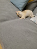 愛(ài)他美卓傲1段800g奶粉卓萃新生嬰兒配方（0-6月齡）新國標一段800克 1段800g*1 【新客首罐送豪禮】 曬單實(shí)拍圖