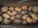 恩施小土豆新鮮馬鈴薯農家黃心洋芋現挖蔬菜馬鈴薯 9斤 小果 乒乓球左右大小 曬單實(shí)拍圖