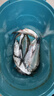 靠森（Kaooseen）料七號鯪魚(yú)專(zhuān)攻廣東野釣配方套餐斬鯪魚(yú)餌窩料誘鯪魂釣魚(yú)專(zhuān)用餌料 幸運七土鯪-腥味 曬單實(shí)拍圖