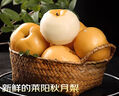 京鮮生山東煙臺萊陽(yáng)秋月梨凈重4斤單果250g+ 新鮮水果 源頭直發(fā)包郵 曬單實(shí)拍圖
