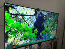 雷鳥(niǎo)TCL電視 55V8L Pro 55英寸 144Hz高刷 QLED量子點(diǎn) 3GB+64GB大內存 4K deepseek AI電視 國I家補貼 75英寸 智能網(wǎng)絡(luò )版（長(cháng)124高74） 曬單實(shí)拍圖