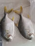 1號會(huì )員店（One's Member）甄選海南二去金鯧魚(yú)去鰓去內臟生鮮魚(yú)類(lèi) 海鮮水產(chǎn) 700g/2條裝 曬單實(shí)拍圖