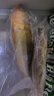 鮮京采 冷凍三去黃花魚(yú)(寧德大黃魚(yú))1700g (5條裝)  禮盒 生鮮海魚(yú)  曬單實(shí)拍圖