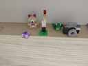 樂(lè )高（LEGO）積木玩具 經(jīng)典創(chuàng  )意10698大號創(chuàng  )意積木盒 4歲+兒童兒童生日禮物 曬單實(shí)拍圖