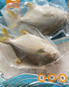 翔泰海南深海金鯧魚(yú)700g 2條 火鍋 生鮮魚(yú)類(lèi) BAP認證 海鮮水產(chǎn) 中秋 曬單實(shí)拍圖
