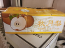 壹萌果蔬正宗山東冰糖梨脆甜當季新鮮秋季月豐水梨水果中秋送禮整箱發(fā)出 【禮盒裝】5斤甄選果【250g】?jì)?.5斤 曬單實(shí)拍圖