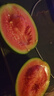 現摘現發(fā)2k西瓜當季手剝薄皮小糖丸西瓜新鮮水果冰糖子小西瓜 2-3斤（精品果） 曬單實(shí)拍圖