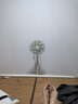 鉆石牌（DIAMOND） 風(fēng)扇落地扇電風(fēng)扇家用客廳電風(fēng)扇宿舍立式小型迷你電風(fēng)扇搖頭大風(fēng)量強力商用電風(fēng)扇小型 【一級能效】直流變頻機械款/白色 曬單實(shí)拍圖