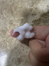 佰草集【新玉潤】保濕潔面泡150ml（洗面奶男女潔面乳深層清潔） 曬單實(shí)拍圖