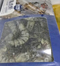 活凍黑虎蝦大號 1kg (約50-60只) 大蝦燒烤火鍋食材 1kg(凈重)  盒裝 曬單實(shí)拍圖