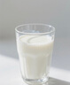 蒙牛特侖蘇A2β-酪蛋白純牛奶250ml*24盒  3.8g乳蛋白 中秋送禮盒裝 曬單實(shí)拍圖