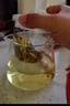 高茗 玻璃泡茶壺加厚耐高溫透明煮茶器花茶壺茶水分離泡茶家用壺 企潤壺900ml【加厚】 曬單實(shí)拍圖