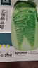 北蔬 北京新三號大白菜種子耐寒秋冬庭院田間蔬菜籽 北京新三號種子5g 曬單實(shí)拍圖