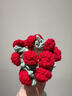 韞舜工成品玫瑰花束杯墊毛線(xiàn)鉤織手捧花創(chuàng  )意禮物編織花朵實(shí)用女生禮物 針織玫瑰花束成品【紅玫瑰+小花籃】 曬單實(shí)拍圖