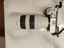 索尼（SONY）FE 70-200mm 二代新一代小三元遠攝變焦微距G鏡頭（SEL70200G2） 曬單實(shí)拍圖