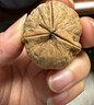 諸氏橙品【紙皮核桃】185紙皮核桃薄殼 2025新貨堅果獨立包裝年貨整箱禮盒 【精選2.5斤禮盒】約22小包 曬單實(shí)拍圖