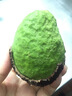京鮮生秘魯進(jìn)口即食牛油果 超級巨無(wú)霸6粒裝單果200g起源頭直發(fā)一件包郵 曬單實(shí)拍圖