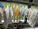 棉芹嬰兒衣服秋季新生兒內衣套裝寶寶滿(mǎn)月睡衣初生兒秋冬打底內衣 藍小熊2件套（四季款） 59碼(適合1-3個(gè)月) 體重8-12斤 曬單實(shí)拍圖