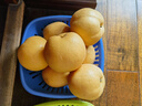 京地達(dá)山東秋月梨凈重8斤單果400g+新鮮水果脆甜梨子大果源頭直發(fā)包郵 曬單實(shí)拍圖