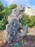 天然太湖石自然石中式庭院裝飾景觀(guān)石原石戶(hù)外大型園林景區風(fēng)景石 白太湖石 曬單實(shí)拍圖