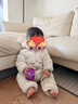 蓋璞嬰兒2025春季新款純棉暗扣短袖連體衣三件裝兒童裝美版725821 奶黃色組合 90cm /48 亞洲18-24/美碼18-24月 曬單實拍圖
