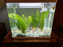 修醫寵亞甲基藍魚(yú)藥魚(yú)缸殺菌消毒水族錦鯉鸚鵡白點(diǎn)小瓜蟲(chóng)寄生蟲(chóng)650ml 曬單實(shí)拍圖