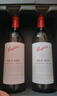 奔富（Penfolds）Bin389 干紅葡萄酒 750ml*6整箱 冷鏈配送 澳洲原瓶進(jìn)口 曬單實(shí)拍圖