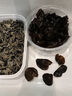 十月稻田 東北黑木耳 100g 肉厚無(wú)根 干木耳 黑龍江東寧特產(chǎn) 火鍋炒菜涼拌 曬單實(shí)拍圖