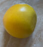 榮剛正宗紅心柚子 四川紅肉蜜柚多汁當(dāng)季孕婦柚子現(xiàn)摘整箱水果送禮 精選大果5-6斤【凈重5斤+】 曬單實(shí)拍圖