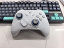 飛智冰原狼4多模版無(wú)線(xiàn)游戲手柄 類(lèi)xbox 力調節搖桿雙切扳機 switch電腦PC手機steam體感NS 絲之歌 曬單實(shí)拍圖