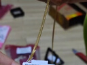 周六福足金999簡(jiǎn)約側身鏈黃金項鏈女生日禮物計價(jià)AA050784 約3.88g 45cm 曬單實(shí)拍圖