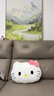 抱枕客廳可愛(ài)Hello Kitty沙發(fā)床頭靠墊女生靠枕靠背枕頭 粉色蝴蝶結【代寫(xiě)賀卡-快速發(fā)貨】 含枕芯 30*40【優(yōu)質(zhì)面料-高品質(zhì)】 曬單實(shí)拍圖