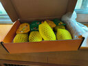 佳沛（zespri）新西蘭陽(yáng)光金果 8個(gè)裝 特大果單果122-146g 中秋水果禮盒 獼猴桃 曬單實(shí)拍圖