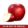 東方甄選花牛*蘋(píng)果 3斤/5斤裝 果香濃郁 壞果包賠 【5斤大果】單果220+（到手7-11枚） 曬單實(shí)拍圖