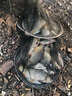 龍王恨魚(yú)餌掃黑系列散炮餌黑糖麥芽糖薯味果味本味黑坑鯽鯉草魚(yú)食釣魚(yú)餌 掃黑·果味(600g/包)*1 曬單實(shí)拍圖
