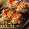 【活蟹】湖塘煙雨 陽(yáng)澄湖大閘蟹鮮活螃蟹公5兩母4兩4對8只河蟹生鮮中秋禮盒源頭直發(fā) 曬單實(shí)拍圖
