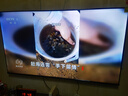Vidda 海信電視65英寸 R65 2025款 一級能效 144Hz高刷 2+32G 換新家電國家補(bǔ)貼液晶游戲電視65V1Q-R 曬單實(shí)拍圖