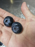 Prize秘魯巨無霸藍(lán)莓125g(22mm) 曬單實拍圖