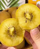頂掌柜多地【次日達】國產(chǎn)佳沛蒲江黃心獼猴桃新鮮水果禮盒整箱當季送禮 特大果20粒丨單果110-130g】家庭分享裝，美味加量 曬單實(shí)拍圖