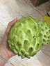 采緹（CAITI）釋迦果釋迦大果牛奶鳳梨釋迦果 釋迦果大果新鮮水果熱帶水果整箱 一斤中果（2-3個(gè)） 曬單實(shí)拍圖