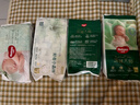 好奇（Huggies）小森林深睡大師系列紙尿褲試用裝S4片透氧防漏尿不濕新生兒 曬單實拍圖