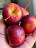 南步東北龍豐果【順豐速發(fā)】酸甜龍秋果大秋果小蘋(píng)果海棠果新鮮水果 1斤 精選中果【單果30-40g】 曬單實(shí)拍圖