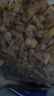 無沙花蛤肉500g新鮮冷凍速凍煮花甲肉蛤蜊肉黃蜆子肉海鮮水產(chǎn)商用 無沙花甲肉500g*1袋 曬單實拍圖
