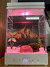 方寸秘境二代月光桌面魚(yú)缸辦公室客廳家用小型熱帶魚(yú)缸雪山微景觀(guān)生態(tài)造景 經(jīng)典款 曬單實(shí)拍圖