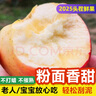 鮮級佳【順豐】2025粉面沙甜蘋(píng)果水果新鮮紅香蕉寶寶刮泥當季嬰兒老年人 12枚品質(zhì)果【新鮮發(fā)貨】 曬單實(shí)拍圖