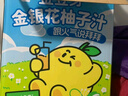 金豆芽金銀花柚子汁兒童零食飲料飲品小孩果汁禮盒100ml*22袋 曬單實(shí)拍圖
