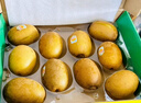 佳沛（zespri）新西蘭  陽(yáng)光金奇異果18粒禮盒優(yōu)選果單果約101-124g 獼猴桃水果 曬單實(shí)拍圖